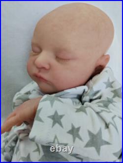 19 Realistic Reborn Baby Doll Handmade Weighted Newborn Girl Boy Laura Toy Gift