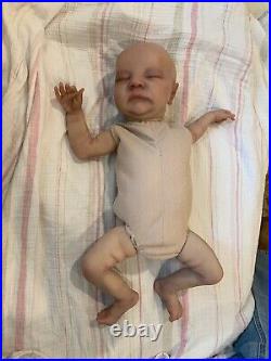 19inch Reborn Baby Dolls Lifelike with Visible Veins realistic