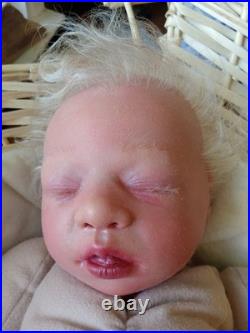 Authentic Reborn Cuddle Baby Doll Sassy By Secrist