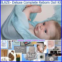 BLAZE, Complete STARTER KIT make a REBORN Baby DOLL, DVD, PAINT, MOHAIR, EYES