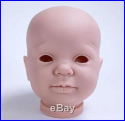 BLAZE, Complete STARTER KIT make a REBORN Baby DOLL, DVD, PAINT, MOHAIR, EYES BLAZE, Complete STARTER KIT make a REBORN Baby DOLL, DVD, PAINT, MOHAIR, EYES