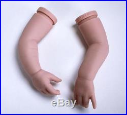 BLAZE, Complete STARTER KIT make a REBORN Baby DOLL, DVD, PAINT, MOHAIR, EYES BLAZE, Complete STARTER KIT make a REBORN Baby DOLL, DVD, PAINT, MOHAIR, EYES