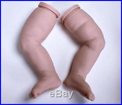 BLAZE, Complete STARTER KIT make a REBORN Baby DOLL, DVD, PAINT, MOHAIR, EYES BLAZE, Complete STARTER KIT make a REBORN Baby DOLL, DVD, PAINT, MOHAIR, EYES