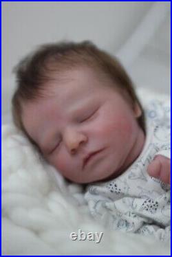 Beautiful Reborn Baby Quinn By Kim De Bono