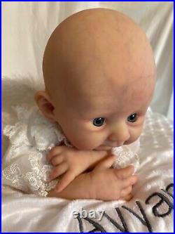 Beautiful reborn baby doll Avyanna/Progeria, Sculpted by Sherry Rawn, Piper