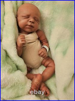 Beautifully Handcrafted Reborn Doll 19 Pascal. Great For All Enthusiasts. Gift