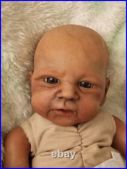 Beautifully Handcrafted Reborn Doll Elijah. 17 In. Perfect For Any Collection