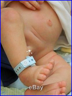 Beverleys Babies amazing, Realistic NEWBORN Reborn baby boy Doll HALF TORSO