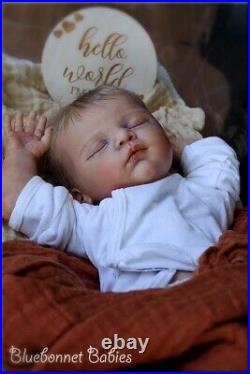 Bluebonnet Babies REBORN DollNewborn Baby Linus RARE SOLE Gudrun Legler Bluebonnet Babies REBORN DollNewborn Baby Linus RARE SOLE Gudrun Legler