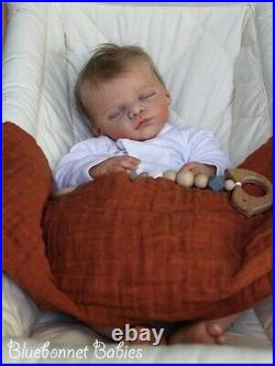 Bluebonnet Babies REBORN DollNewborn Baby Linus RARE SOLE Gudrun Legler Bluebonnet Babies REBORN DollNewborn Baby Linus RARE SOLE Gudrun Legler