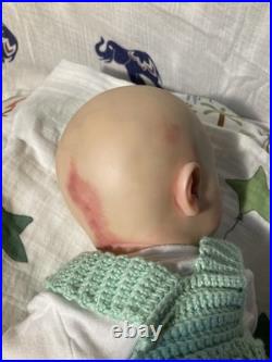 Bountiful Baby's Authentic Realborn/Reborn Baby Doll JENNIE ASLEEP With COA