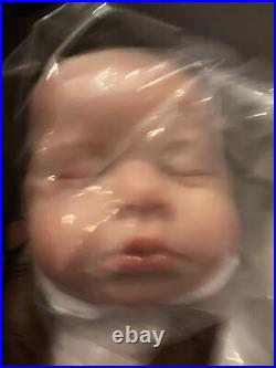 Brand New Reborn Baby Girl Doll Lulu With Accessories Brand New Reborn Baby Girl Doll Lulu With Accessories