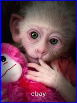 Custom Silicone Monkey Snowflake by Sherry Bowden Realistic