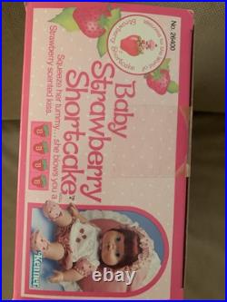Exquisite Rare Quality NRFB Kenner Strawberry Shortcake Blow Kiss 1982 Excellent