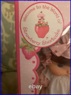 Exquisite Rare Quality NRFB Kenner Strawberry Shortcake Blow Kiss 1982 Excellent