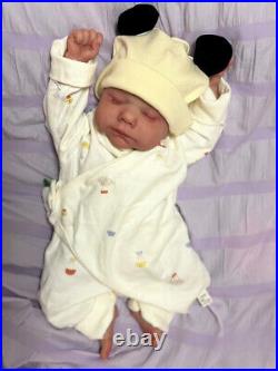 Finished 19 Weighted Limbs Reborn Baby Dolls Vivid Newborn Art Toy Collectible Finished 19 Weighted Limbs Reborn Baby Dolls Vivid Newborn Art Toy Collectible