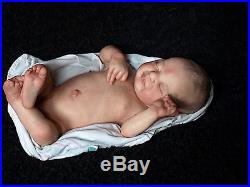 Gorgeous Reborn Baby Girl Doll LE Americus By Laura Lee Eagles Full Vinyl Torso
