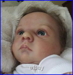 Gorgeous Reborn doll ASHER AWAKE, COA, German Glass Eyes & MR Mohair, RealBorn