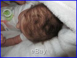 Gorgeous Reborn doll ASHER AWAKE, COA, German Glass Eyes & MR Mohair, RealBorn