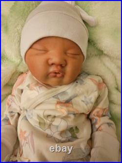 Hand Crafted Reborn Doll Asiah. 20 Weighted And Stuffed To Feel Real. Excellent