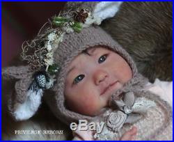 Japanese Reborn Baby Doll, Cai By Ping Lau, Art Piece