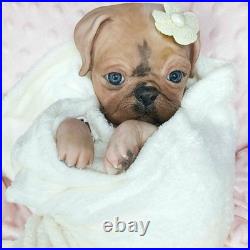 NEW 17 Vintage Sold Out Authentic Princess Pug Reborn Ooak