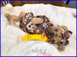 NEW 17 Vintage Sold Out Authentic Princess Pug Reborn Ooak