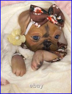 NEW 17 Vintage Sold Out Authentic Princess Pug Reborn Ooak