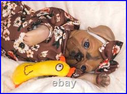 NEW 17 Vintage Sold Out Authentic Princess Pug Reborn Ooak