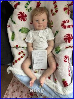 Ooak Reborn Holly Big Reborn Baby Doll. Rooted Hair. Weighted. Darling Blue Eyes