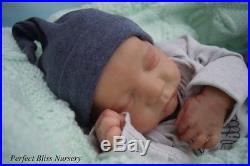 Pbn Booboo Reborn Baby Doll Boy Sculpt Levi By Bonnie Brown 0317 Small Fault
