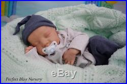 Pbn Booboo Reborn Baby Doll Boy Sculpt Levi By Bonnie Brown 0317 Small Fault