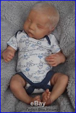 Pbn Booboo Reborn Baby Doll Boy Sculpt Levi By Bonnie Brown 0317 Small Fault