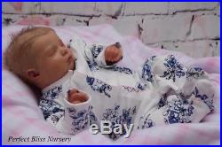 Pbn Yvonne Etheridge Baby Girl Doll Realborn Priscilla By Bountiful Baby 0118
