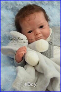Pbn Yvonne Etheridge Booboo Reborn Baby Doll Boy Sculpt Sanya By Gudrun Legler