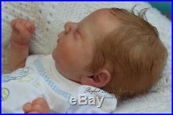 Pbn Yvonne Etheridge Reborn Baby Doll Boy Sculpt Chase By Bonnie Brown 0119