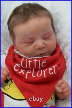 Pbn Yvonne Etheridge Reborn Baby Doll Boy Sculpt Chase By Bonnie Brown 0121
