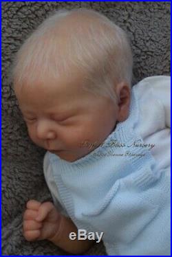 Pbn Yvonne Etheridge Reborn Baby Doll Boy Sculpt Chase By Bonnie Brown 0219