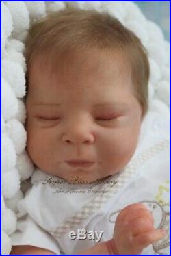Pbn Yvonne Etheridge Reborn Baby Doll Boy Sculpt Luciano By Cassie Brace 0319