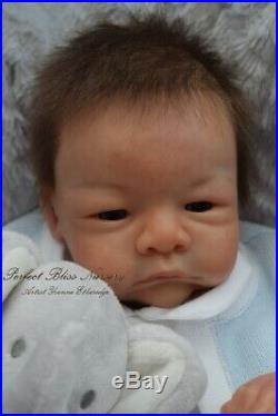 Pbn Yvonne Etheridge Reborn Baby Doll Boy Sculpt River By Toby Morgan 0119