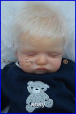 Pbn Yvonne Etheridge Reborn Baby Doll Boy Sculpt Rosalie By Olga Auer 0920