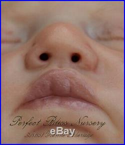 Pbn Yvonne Etheridge Reborn Baby Doll Girl Sculpt Harriet By A K Kitagawa 0319