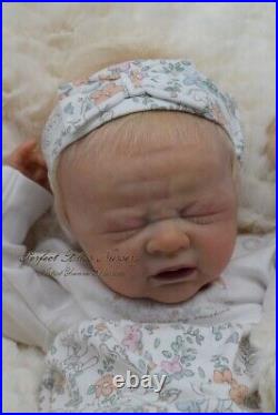 Pbn Yvonne Etheridge Reborn Baby Doll Girl Sculpt Odessa By Laura L Eagles 022