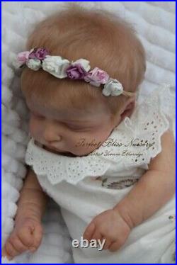 Pbn Yvonne Etheridge Reborn Baby Doll Sculpt Rosalie By Olga Auer 0720