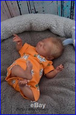 Pbn Yvonne Etheridge Reborn Doll Baby Boy Luxe By Cassie Brace 0418