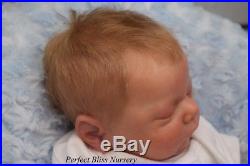 Pbn Yvonne Etheridge Reborn Doll Baby Boy Luxe By Cassie Brace 0818