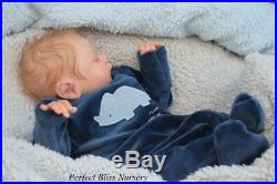Pbn Yvonne Etheridge Reborn Doll Baby Boy Luxe By Cassie Brace 1218