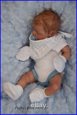 Pbn Yvonne Etheridge Reborn Doll Baby Boy Luxe By Cassie Brace 1218