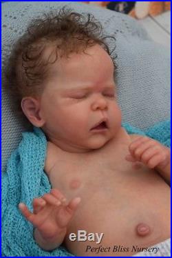Pbn Yvonne Etheridge Reborn Doll Baby Boy Sculpt Josephine By C. Brace 0118