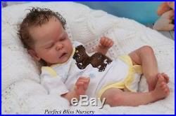 Pbn Yvonne Etheridge Reborn Doll Baby Boy Sculpt Josephine By C. Brace 0118